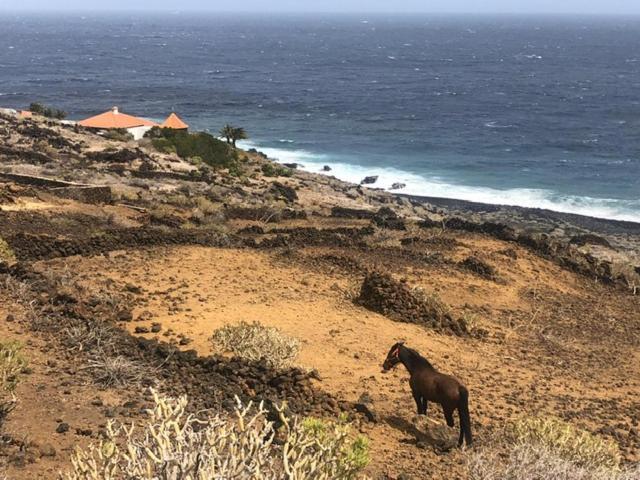 Casa La Lachita La Torre  Dış mekan fotoğraf